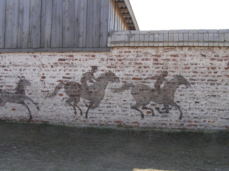Тени