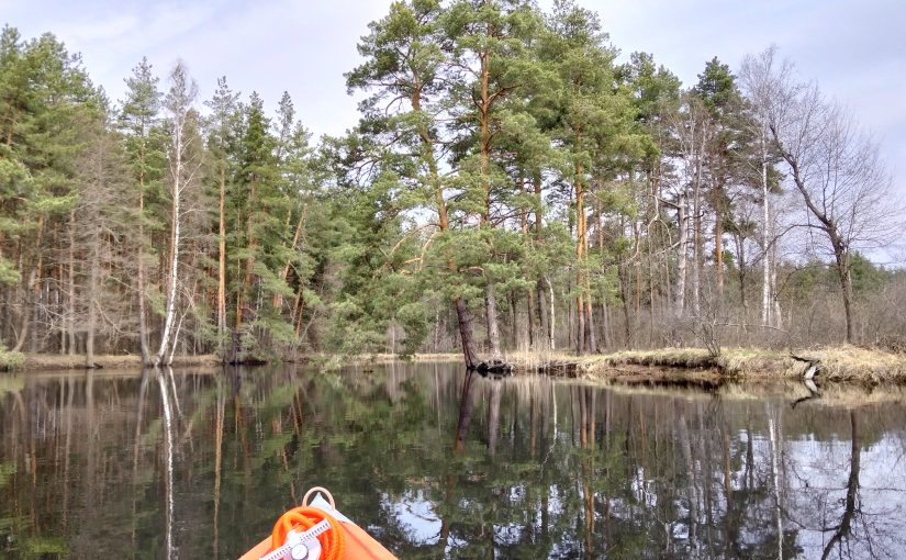 Мещерская тайга: Весенний сплав по Поле. Часть 1